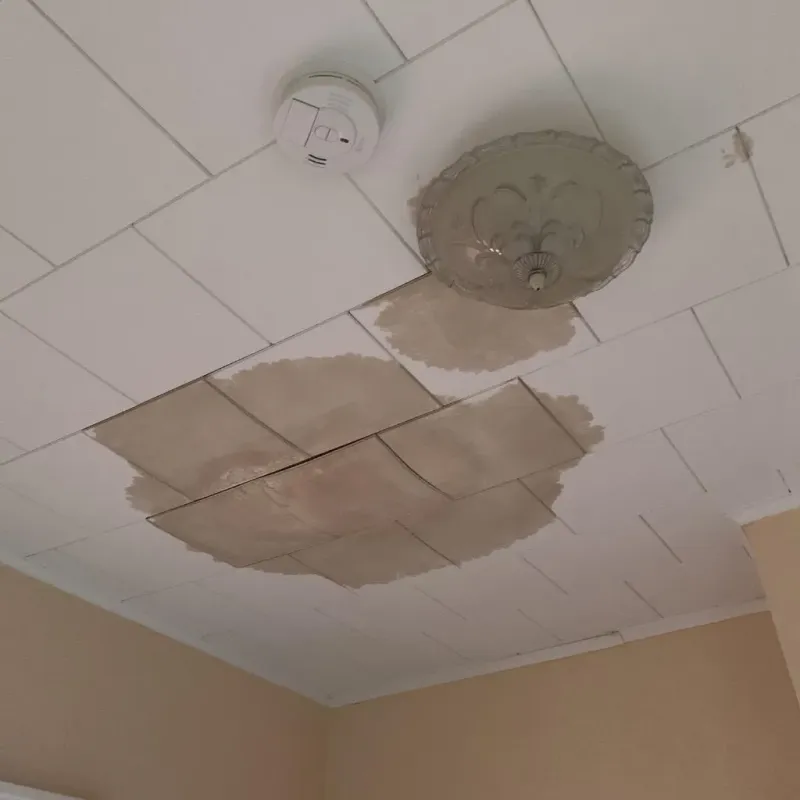 Ceiling Water Damage Repair in Orford, NH