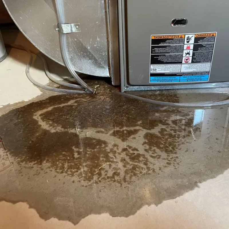 Pipe Burst and Leak Restoration in Orford, NH